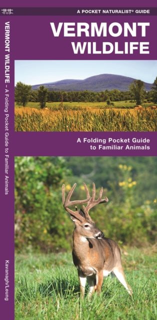 Vermont Wildlife: A Folding Pocket Guide to Familiar Species