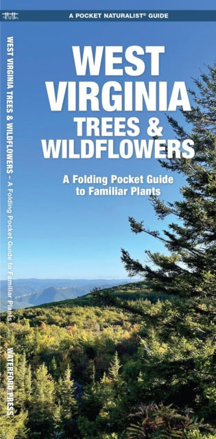 West Virginia Trees & Wildflowers: A Folding Pocket Guide to Familiar Species