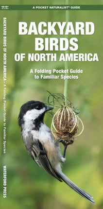 Backyard Birds of North America: A Folding Pocket Guide to Familiar Species