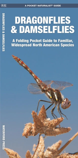 Dragonflies & Damselflies: A Folding Pocket Guide to Familiar Widespread, North American Species