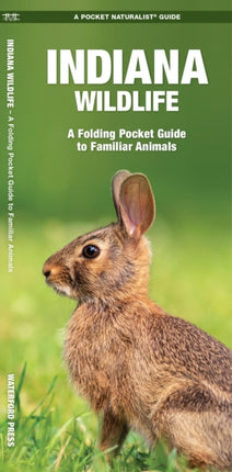 Indiana Wildlife: A Folding Pocket Guide to Familiar Species