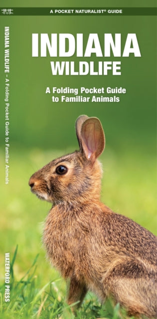 Indiana Wildlife: A Folding Pocket Guide to Familiar Species