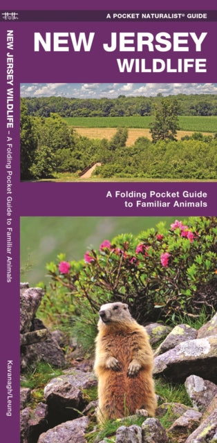 New Jersey Wildlife: A Folding Pocket Guide to Familiar Species