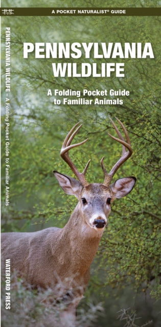 Pennsylvania Wildlife: A Folding Pocket Guide to Familiar Species