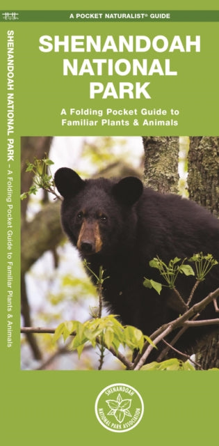 Shenandoah National Park: A Folding Pocket Guide to Familiar Plants & Animals