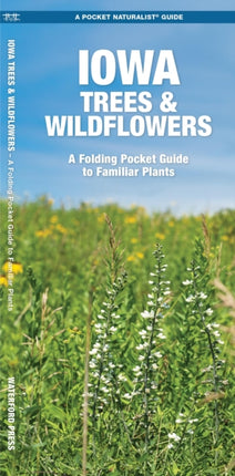 Iowa Trees & Wildflowers: A Folding Pocket Guide to Familiar Plants