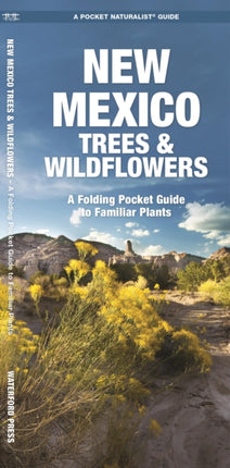 New Mexico Trees & Wildflowers: A Folding Pocket Guide to Familiar Species