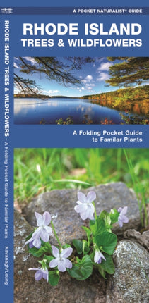 Rhode Island Trees & Wildflowers: A Folding Pocket Guide to Familiar Species