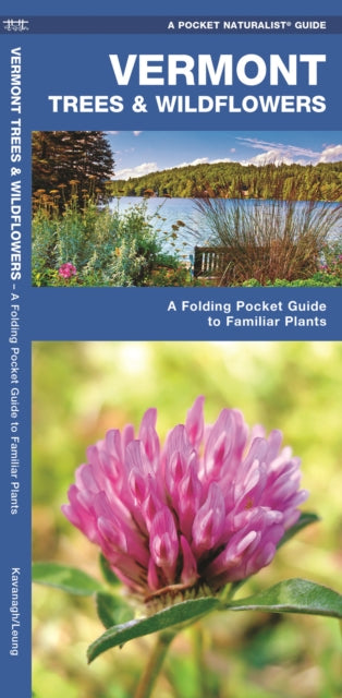 Vermont Trees & Wildflowers: A Folding Pocket Guide to Familiar Species