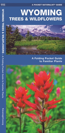 Wyoming Trees & Wildflowers: A Folding Pocket Guide to Familiar Species