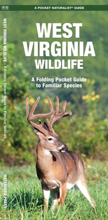 West Virginia Wildlife: A Folding Pocket Guide to Familiar Species