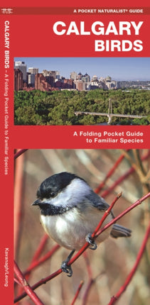 Calgary Birds A Folding Pocket Guide to Familiar Species A Pocket Naturalist Guide