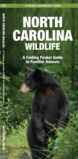 Maine Wildlife: A Folding Pocket Guide to Familiar Species