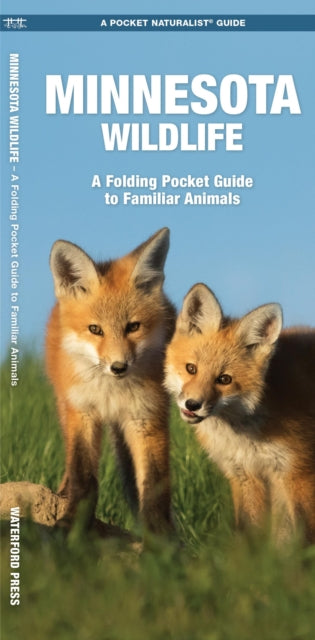 Minnesota Wildlife: A Folding Pocket Guide to Familiar Species