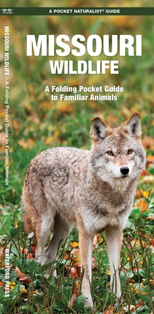 Missouri Wildlife: A Folding Pocket Guide to Familiar Animals