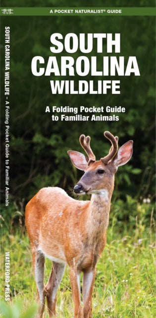 South Carolina Wildlife: A Folding Pocket Guide to Familiar Species