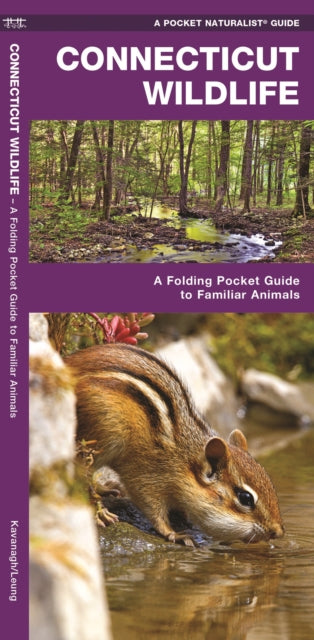 Connecticut Wildlife: A Folding Pocket Guide to Familiar Species