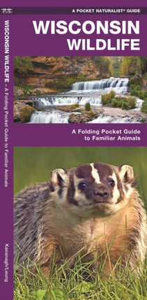 Wisconsin Wildlife: A Folding Pocket Guide to Familiar Animals