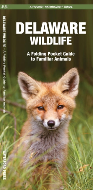 Delaware Wildlife: A Folding Pocket Guide to Familiar Species