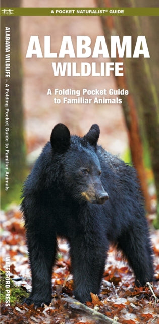 Alabama Wildlife: A Folding Pocket Guide to Familiar Animals