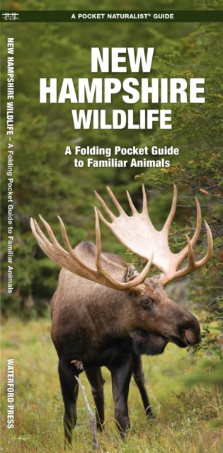 New Hampshire Wildlife: A Folding Pocket Guide to Familiar Species