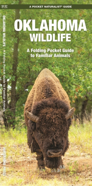 Oklahoma Wildlife: A Folding Pocket Guide to Familiar Species