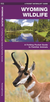 Wyoming Wildlife: A Folding Pocket Guide to Familiar Species