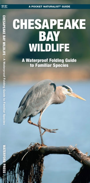 Chesapeake Bay Wildlife: A Folding Pocket Guide to Familiar Species