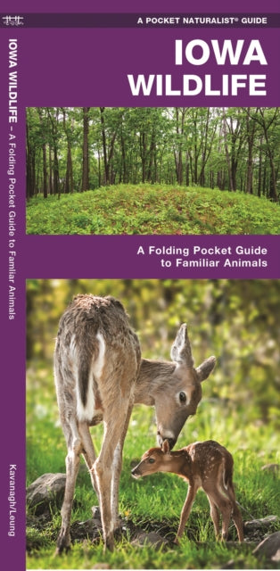 Iowa Wildlife: A Folding Pocket Guide to Familiar Species