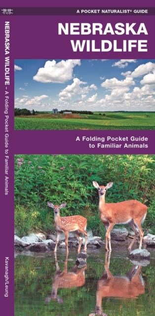 Nebraska Wildlife: A Folding Pocket Guide to Familiar Species