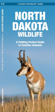 North Dakota Wildlife: A Folding Pocket Guide to Familiar Species