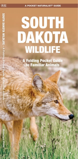 South Dakota Wildlife: A Folding Pocket Guide to Familiar Species