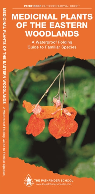 Medicinal Plants of the Eastern Woodlands: A Waterproof Folding Guide to Familiar Species