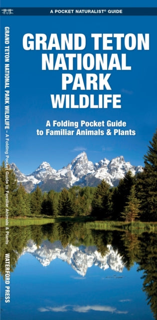 Grand Teton National Park Wildlife: A Folding Pocket Guide to Familiar Plants & Animals