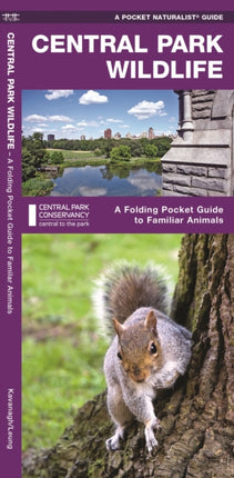 Central Park Wildlife: A Folding Pocket Guide to Familiar Species