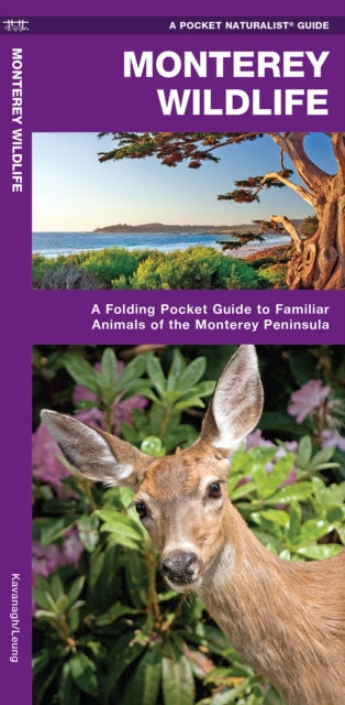 Monterey Wildlife: A Folding Pocket Guide to