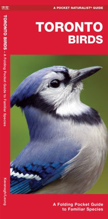 Toronto Birds: A Folding Pocket Guide to Familiar Species