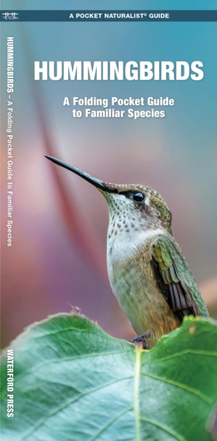 Hummingbirds: A Folding Pocket Guide to Familiar Species