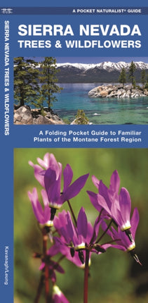 Sierra Nevada Trees & Wildflowers: A Folding Pocket Guide to Familiar Species of the Montane Forest Region