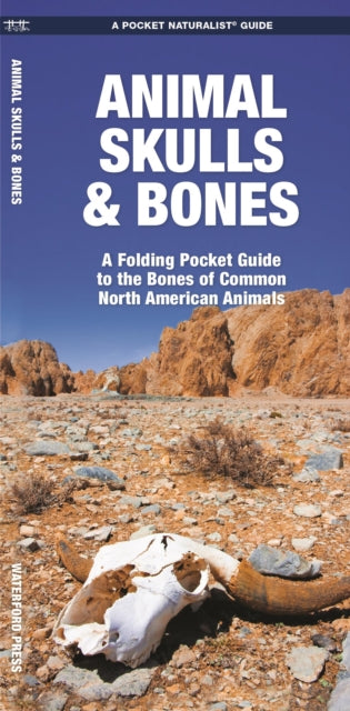 Animal Skulls & Bones: A Folding Pocket Guide to the Bones of Common North American Animals