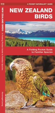 New Zealand Birds: A Folding Pocket Guide to Familiar Species