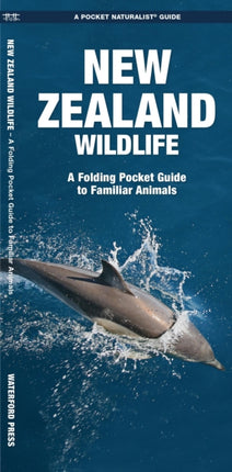 New Zealand Wildlife: A Folding Pocket Guide to Familiar Animals