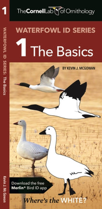 The Cornell Lab of Ornithology Waterfowl ID 1 The Basics