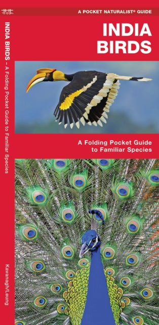 India Birds: A Folding Pocket Guide to Familiar Species