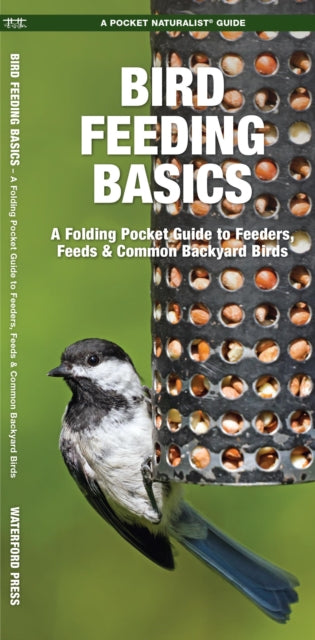 Bird Feeding Basics: An Introduction to Feeders, Feeds & Common Backyard Birds