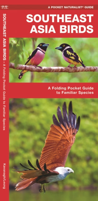 Southeast Asia Birds: A Folding Pocket Guide to Familiar Species