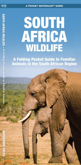 South Africa Wildlife: A Folding Pocket Guide to Familiar Animals