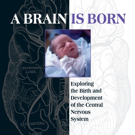 A Brain Is Born: Exploring the Birth and Development of the Central Nervous System