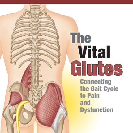 The Vital Glutes: Connecting the Gait Cycle to Pain and Dysfunction