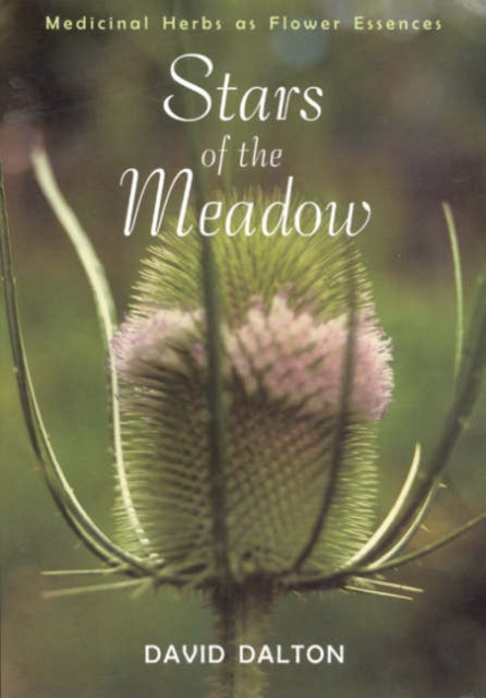 Stars of the Meadow: Medicinal Herbs as Flower Essences